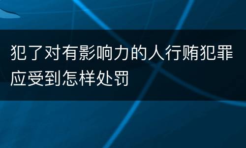 犯了对有影响力的人行贿犯罪应受到怎样处罚