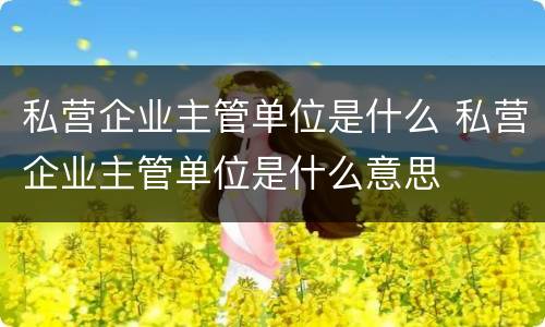 私营企业主管单位是什么 私营企业主管单位是什么意思