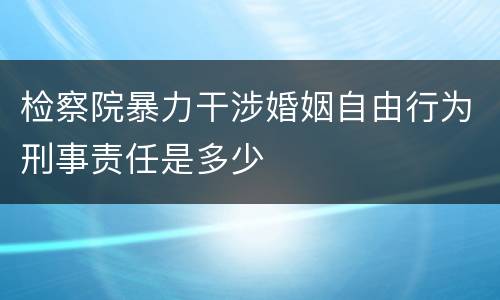 检察院暴力干涉婚姻自由行为刑事责任是多少
