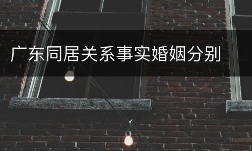 广东同居关系事实婚姻分别