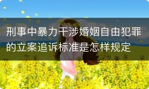 刑事中暴力干涉婚姻自由犯罪的立案追诉标准是怎样规定