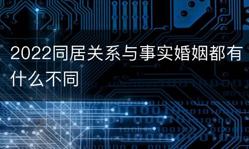 2022同居关系与事实婚姻都有什么不同