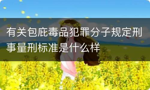 有关包庇毒品犯罪分子规定刑事量刑标准是什么样