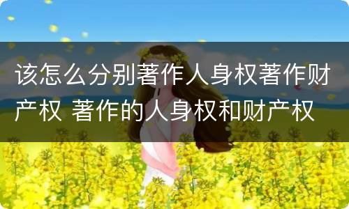 该怎么分别著作人身权著作财产权 著作的人身权和财产权