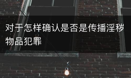 对于怎样确认是否是传播淫秽物品犯罪