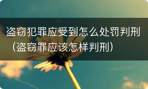 盗窃犯罪应受到怎么处罚判刑（盗窃罪应该怎样判刑）