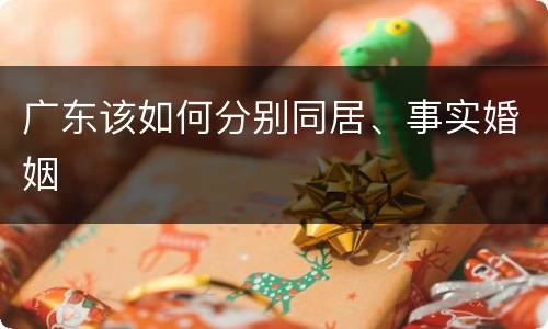 广东该如何分别同居、事实婚姻