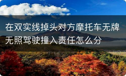在双实线掉头对方摩托车无牌无照驾驶撞入责任怎么分