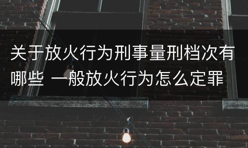 关于放火行为刑事量刑档次有哪些 一般放火行为怎么定罪
