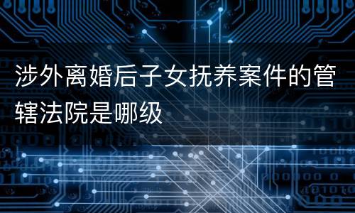 涉外离婚后子女抚养案件的管辖法院是哪级