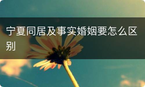 宁夏同居及事实婚姻要怎么区别