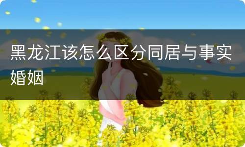 黑龙江该怎么区分同居与事实婚姻