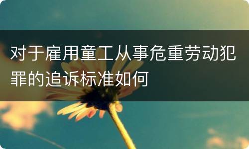 对于雇用童工从事危重劳动犯罪的追诉标准如何