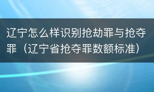 辽宁怎么样识别抢劫罪与抢夺罪（辽宁省抢夺罪数额标准）