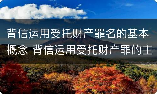 背信运用受托财产罪名的基本概念 背信运用受托财产罪的主体