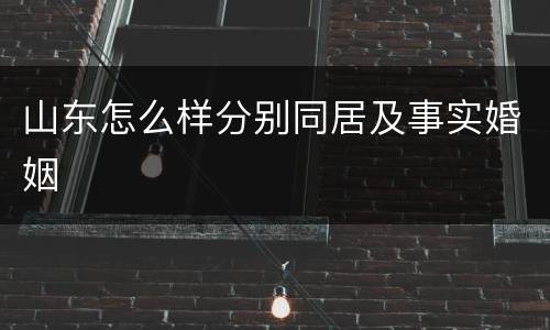 山东怎么样分别同居及事实婚姻