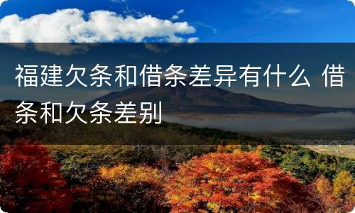 福建欠条和借条差异有什么 借条和欠条差别