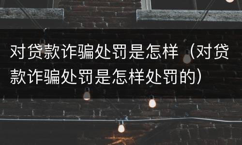 对贷款诈骗处罚是怎样（对贷款诈骗处罚是怎样处罚的）