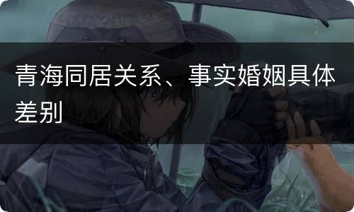 青海同居关系、事实婚姻具体差别