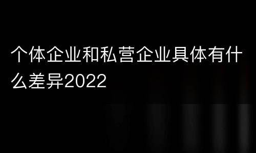 个体企业和私营企业具体有什么差异2022