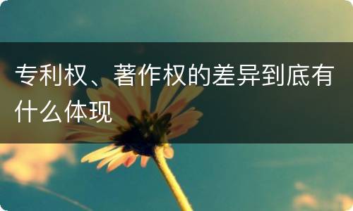 专利权、著作权的差异到底有什么体现