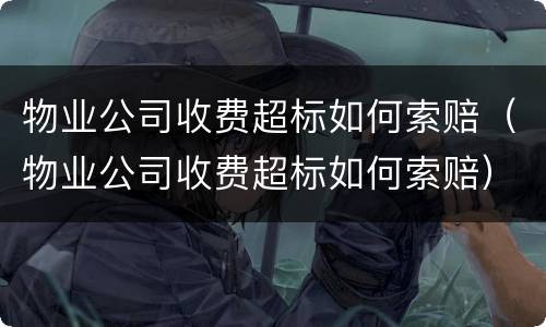 物业公司收费超标如何索赔（物业公司收费超标如何索赔）