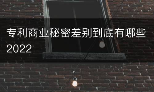 专利商业秘密差别到底有哪些2022