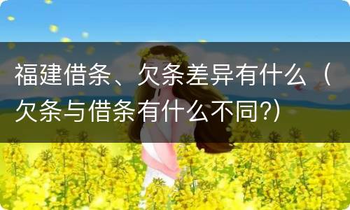 福建借条、欠条差异有什么（欠条与借条有什么不同?）