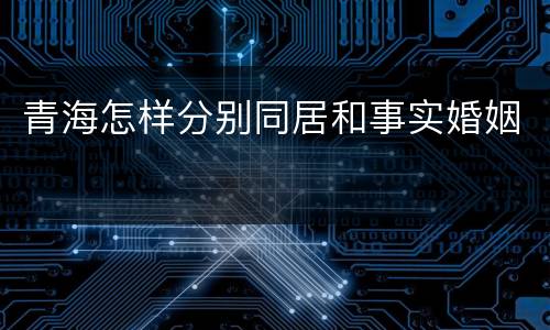 青海怎样分别同居和事实婚姻