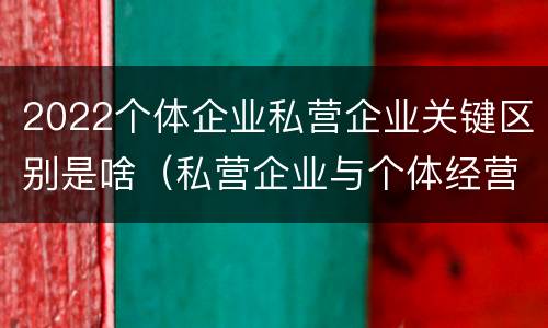 2022个体企业私营企业关键区别是啥（私营企业与个体经营企业的区别）