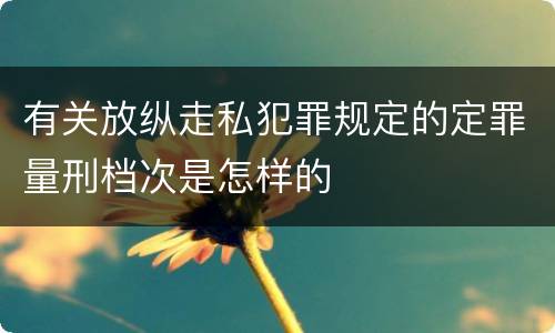 有关放纵走私犯罪规定的定罪量刑档次是怎样的