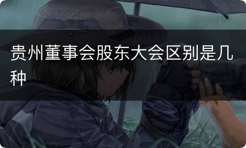 贵州董事会股东大会区别是几种