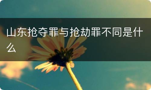 山东抢夺罪与抢劫罪不同是什么