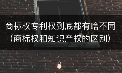 商标权专利权到底都有啥不同（商标权和知识产权的区别）