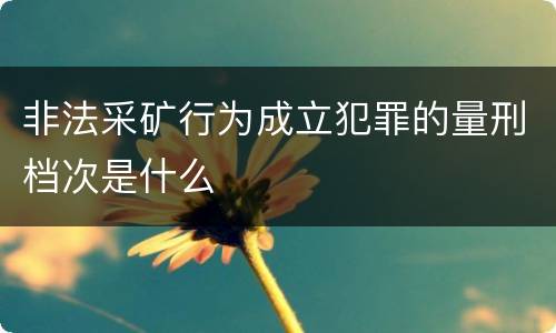 非法采矿行为成立犯罪的量刑档次是什么