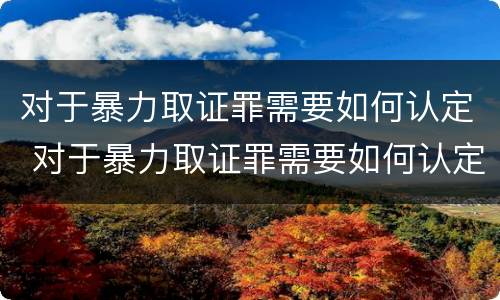 对于暴力取证罪需要如何认定 对于暴力取证罪需要如何认定呢