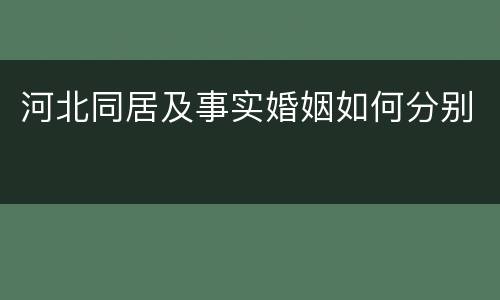 河北同居及事实婚姻如何分别