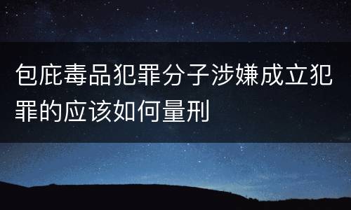 包庇毒品犯罪分子涉嫌成立犯罪的应该如何量刑
