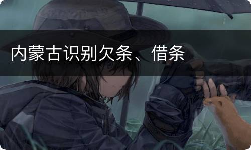 内蒙古识别欠条、借条