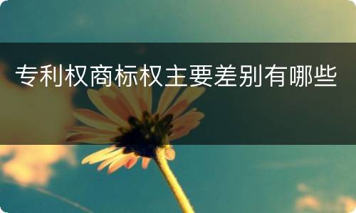 专利权商标权主要差别有哪些