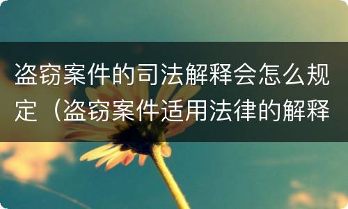 盗窃案件的司法解释会怎么规定（盗窃案件适用法律的解释）