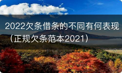 2022欠条借条的不同有何表现（正规欠条范本2021）