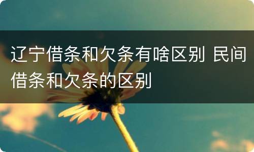 辽宁借条和欠条有啥区别 民间借条和欠条的区别