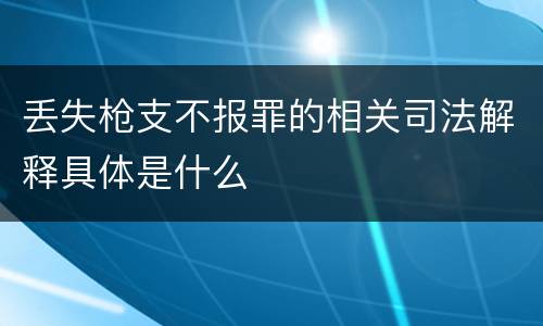 丢失枪支不报罪的相关司法解释具体是什么