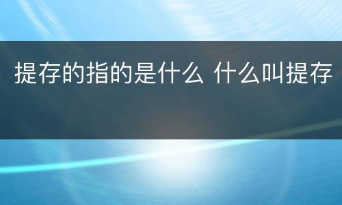 提存的指的是什么 什么叫提存