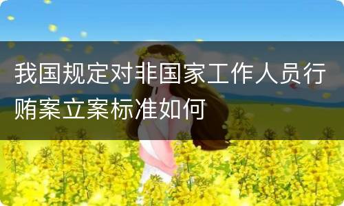 我国规定对非国家工作人员行贿案立案标准如何