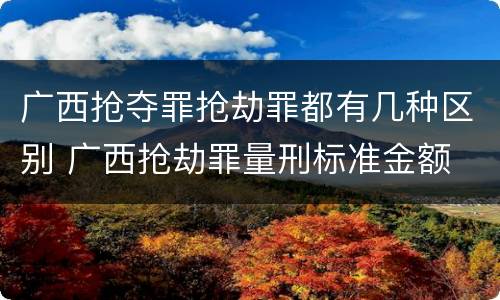 广西抢夺罪抢劫罪都有几种区别 广西抢劫罪量刑标准金额