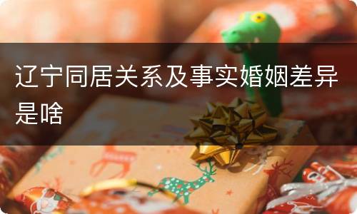 辽宁同居关系及事实婚姻差异是啥