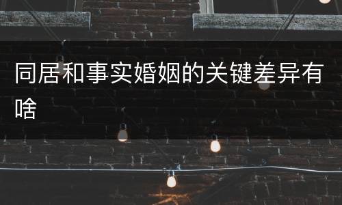 同居和事实婚姻的关键差异有啥