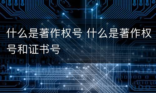 什么是著作权号 什么是著作权号和证书号